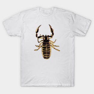 Pseudoscorpion 2 T-Shirt